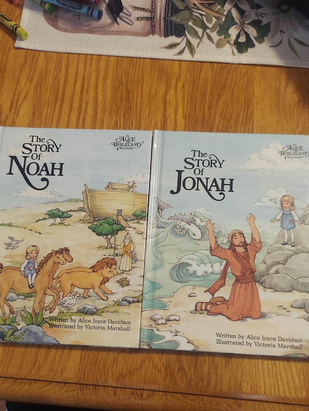The Story of Noah & Jonah Children's Book Set — Unbranded